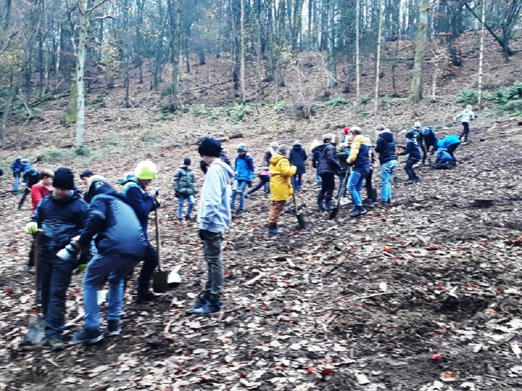 k-20211125_101413kl