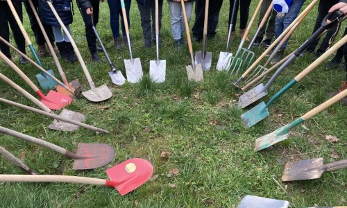 Baumpflanzen mit der B&uuml;rgerstiftung Kelkheim