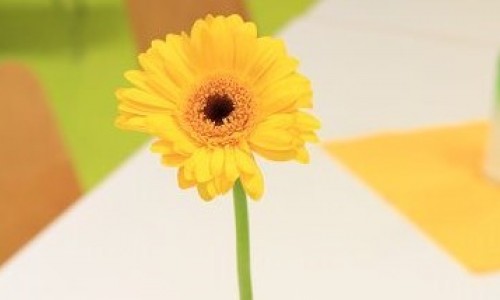 Tag der offenen T&uuml;r